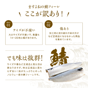 訳あり 骨取り サバ 切り身 (無塩) 3kg [001-c322] 