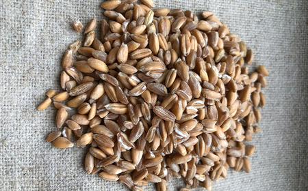 薪窯パン 有機エンマー 2個 【 農家パン VERUM 】 ／ パン ぱん ブレッド ベーカリー 古代小麦 薪窯 薪窯焼き 薪窯焼 石窯パン 石窯 卵不使用 乳製品不使用 乳不使用 自家製発酵種 国産 素材にこだわった 手づくり 手作り こだわり 冷蔵  冷蔵便 東北 岩手県 八幡平市 はちまんたい おすすめ