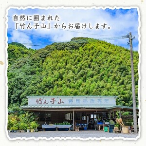 ＜先行予約受付中！2027年1月上旬以降順次発送予定＞竹ん子山のサワーポメロ(約4.5kg) 国産 鹿児島県産 阿久根産 柑橘 果物 フルーツ 果実 期間限定 【竹ん子山】akn097-12