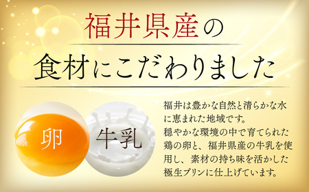 福井極生プリン すいーと びたー食べ比べセット【6個入り】 [A-208001] / プリン
