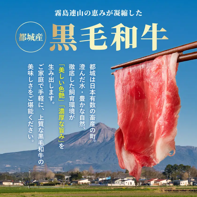 黒毛和牛切り落とし1.2kg〔16-7701〕_(都城市) ネック・スネ・ブリスケ使用 小分けパック 炒め物 煮込み料理