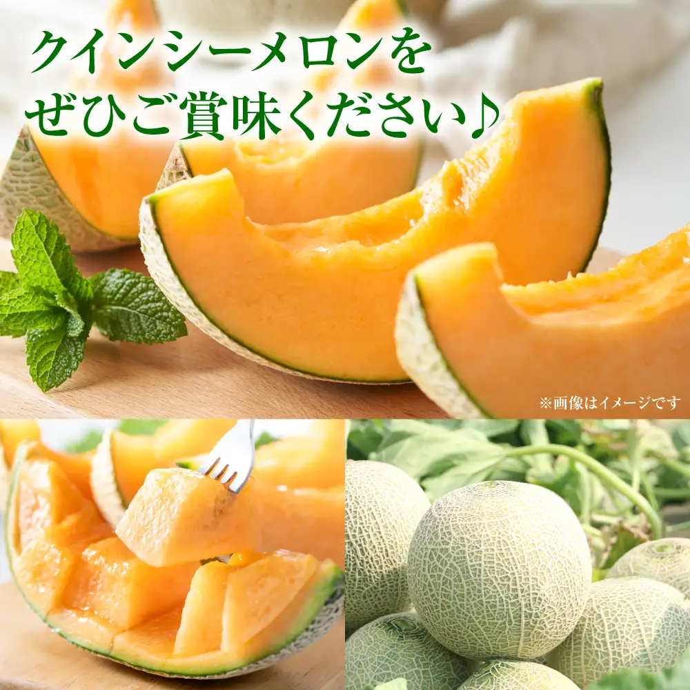 産地直送 クインシーメロン 2玉 約3kg クインシー メロン めろん 赤肉メロン 赤肉 果物 くだもの フルーツ デザート 贈り物 国産 熊本県 八代市
