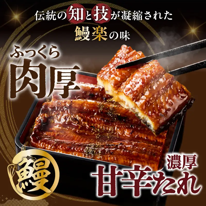 【夏の丑の日までにお届け!!】うなぎ蒲焼特大2尾(さんしょう・たれ付き)計380g以上 鰻 魚 魚介 加工品 国産_T026-0065-US2