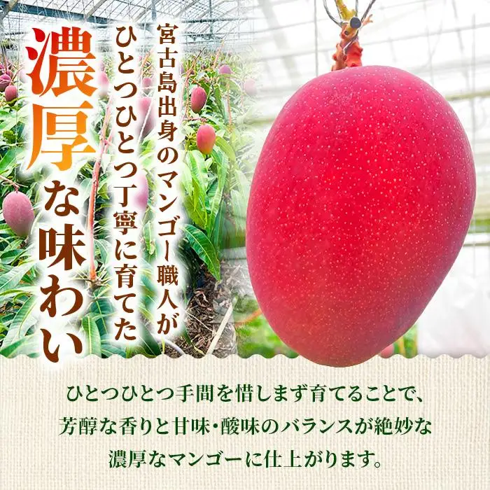 【家庭用】宮古島産マンゴー4kg ＜リトルグローブ＞（LT005）