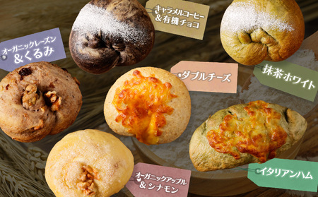 【定期便：全2回】トモヱベーグル ギフトセット「北の麦輪（むぎわ）１８個セット」【33000401】