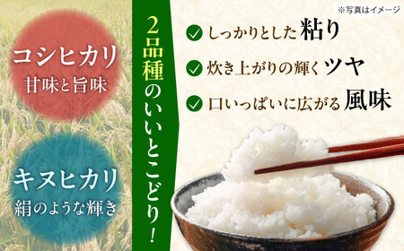 【令和7年産 白米】 はるみ 5kg 白米 はるみ[BDBF002-1]