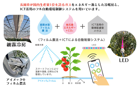 Q0-02これからのトマト プレミアム 45粒