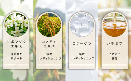 シャンプー ノンシリコン アミノ酸系 シャンプー 300mL