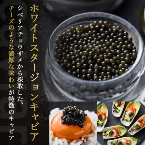 皇帝の涙2種食べ比べ（ロイヤルシベリアン・ホワイトスタージョン）国産チョウザメキャビア