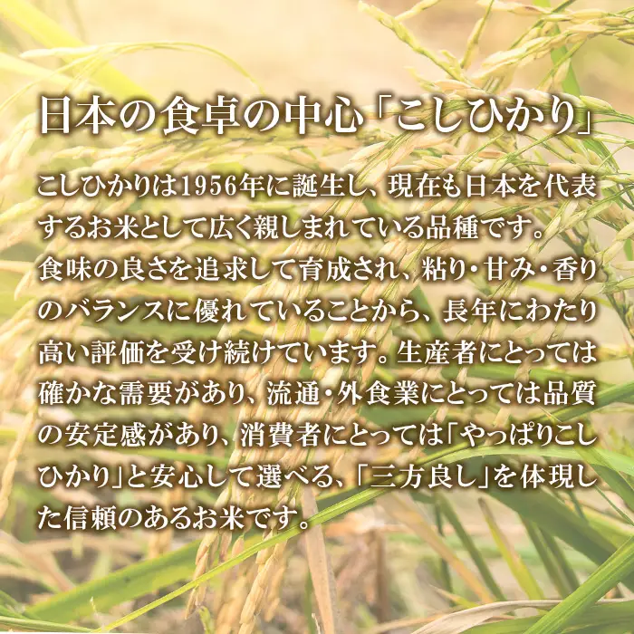 743 茨城県産 こしひかり 10kg (5kg×2袋) 農薬・化学肥料不使用 令和7年産 精米【米農家もろちゃん】