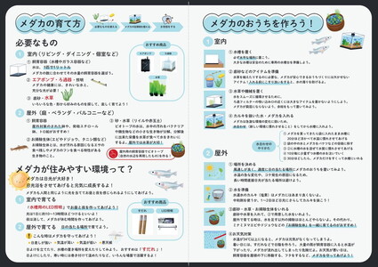 めだかさんミックス 計23匹（21匹＋死着保証2匹）（品種おまかせ） ｜ めだか メダカ 改良 飼育 生体 観賞魚 魚 ペット おまかせ ミックス ※2026年4月上旬～10月下旬頃に順次発送予定 ※北海道・沖縄・離島への配送不可
