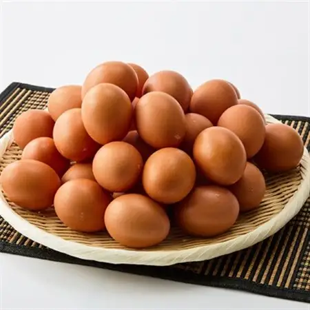 大分生まれのAW飼い「豊の米卵」10kg(赤卵)【配送不可地域：離島】【1714037】