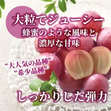 【数量限定】希少品種!『クイーンニーナ 1房』ぶどうの赤い宝石。山梨県産の注目品種でおすすめ【配送不可地域：離島・沖縄県】【1041238】