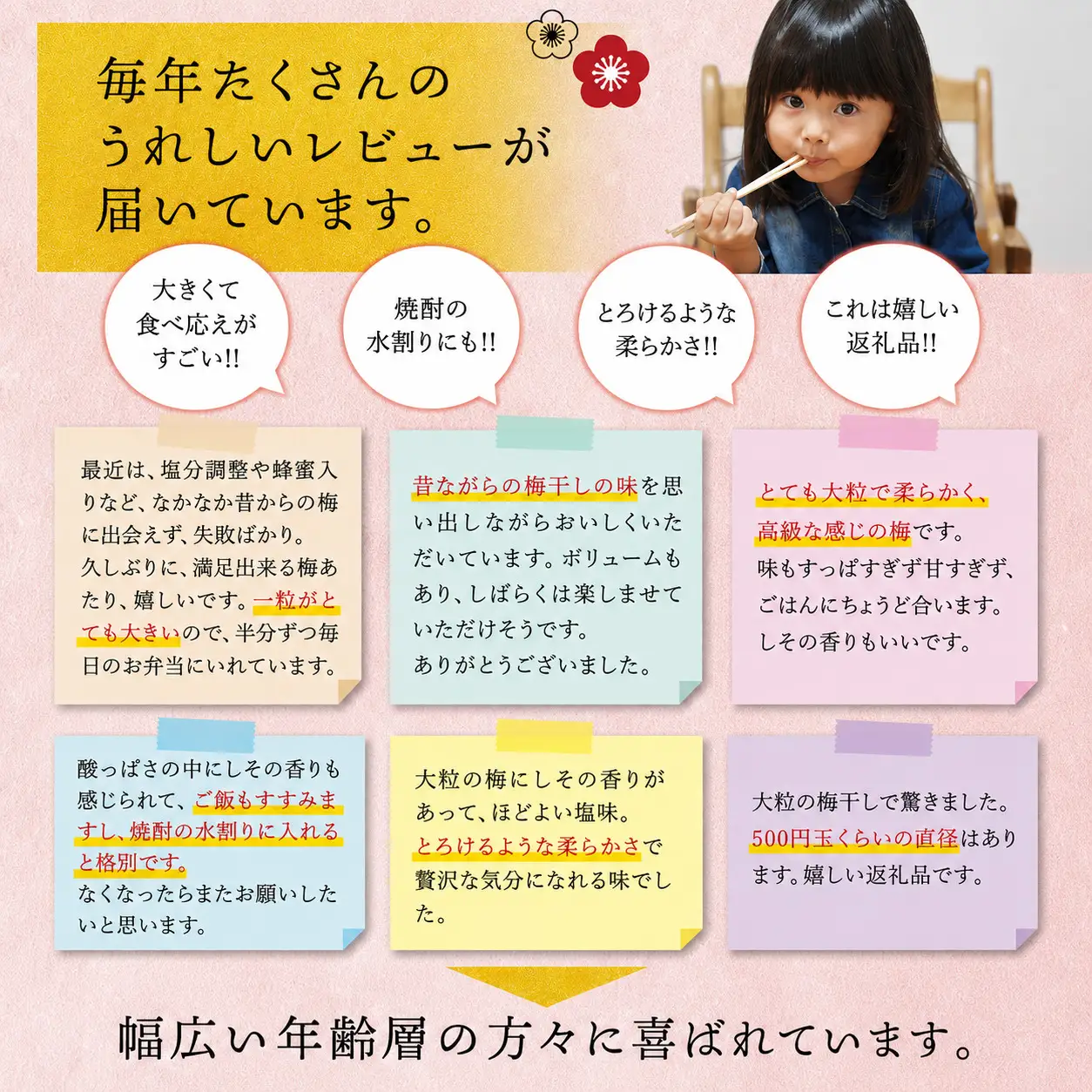 梅干し 紀州南高しそ梅干し 1.4kg 大粒 ご家庭用【inm200C】