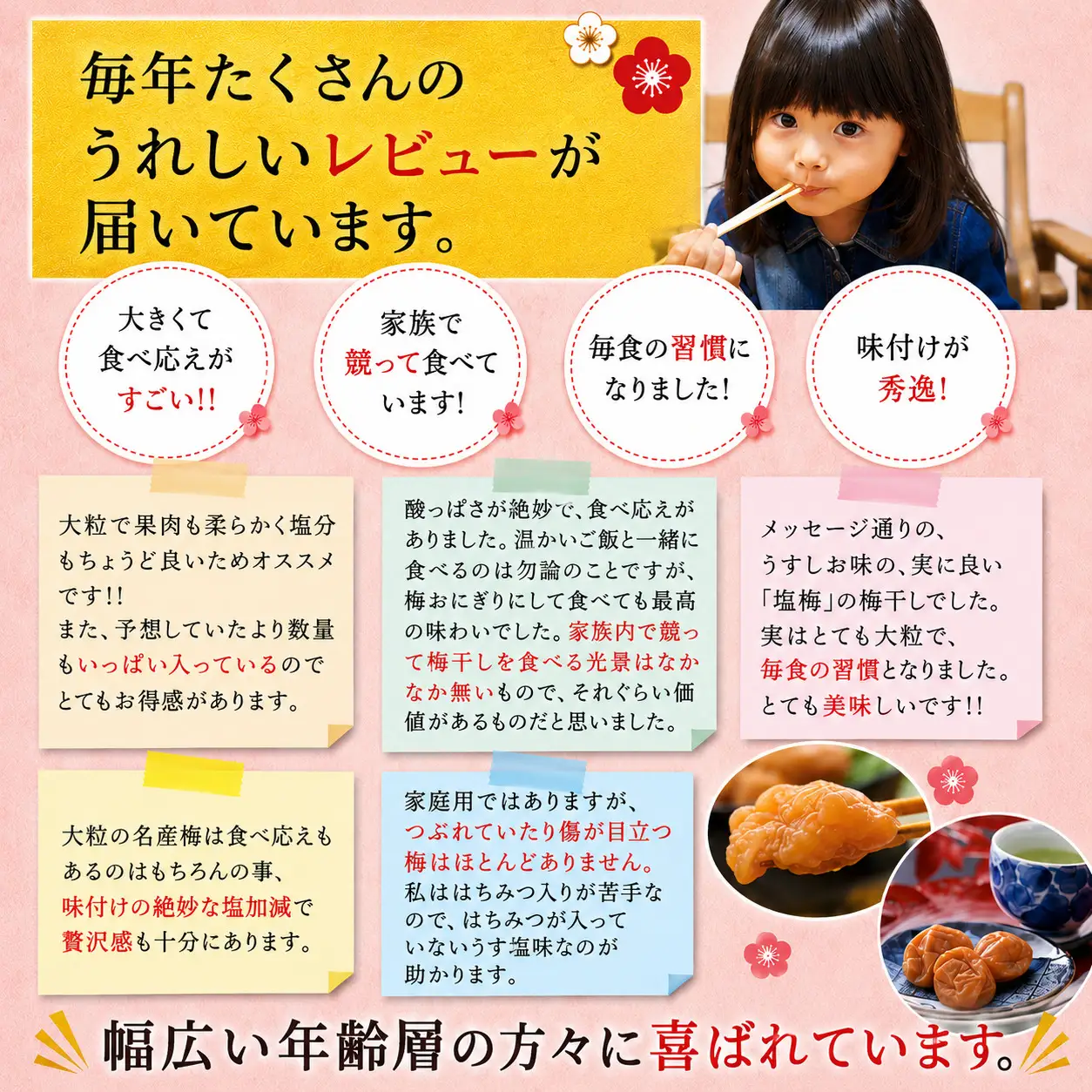 梅干し 紀州南高うす味梅干し 1.4kg 大粒 ご家庭用【inm300C】