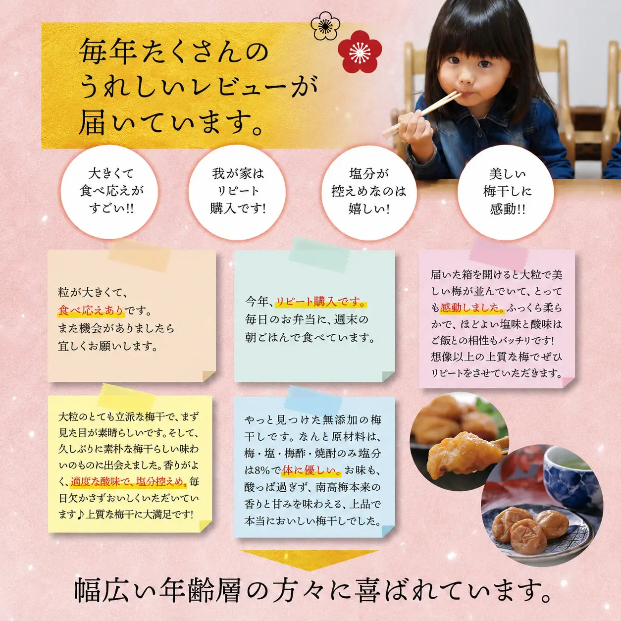 梅干し 紀州南高梅干し 無添加 1.4kg ご家庭用【inm500B】
