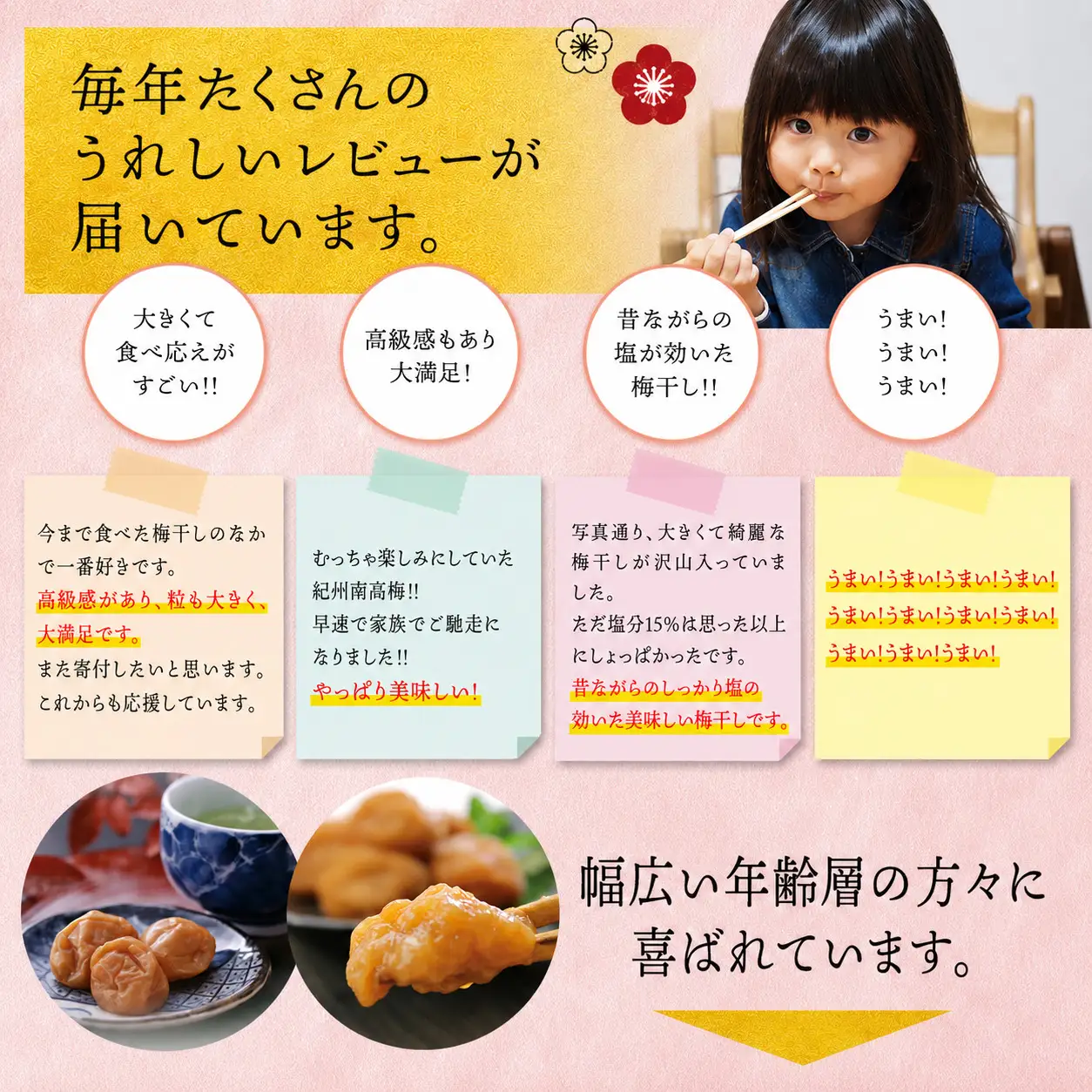 梅干し 紀州南高白梅干し 1.4kg 大粒 ご家庭用【inm700C】
