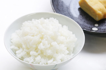 【令和8年産新米・先行予約】あわくら源流米 コシヒカリ白米 10kg｜西粟倉村産・昼夜寒暖差が育む甘み｜ふるさと納税 K-ag-AFZA