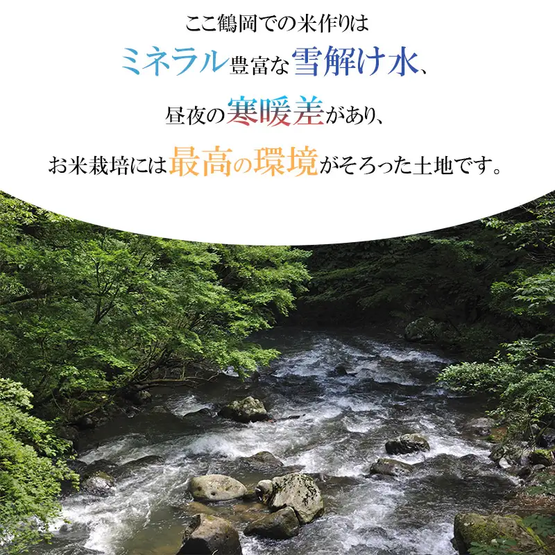 【令和7年産】【定期便】 山形 はえぬき 精米 10kg(5kg×2袋)×3ヶ月　山形県鶴岡市産　株式会社菜な八（鶴岡ファーマーズ）