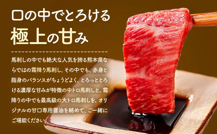 馬刺し 極上 霜降り 2種 食べ比べ セット 株式会社利他フーズ《30日以内に出荷予定(土日祝除く)》 中トロ 大トロ 国産 冷凍 生食用 肉 馬肉 ふるさと納税馬刺し 熊本県 南阿蘇村 送料無料 馬刺 ばさし 名物