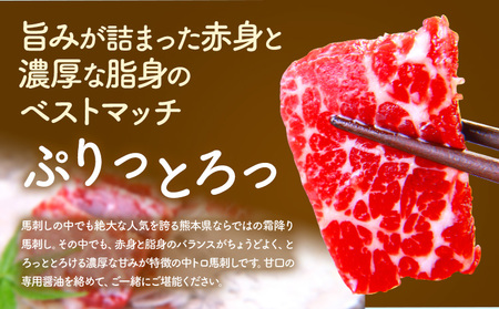 馬刺し 熊本 ならでは 霜降り馬刺し たっぷり 500g 株式会社利他フーズ《30日以内に出荷予定(土日祝除く)》 霜降り 中トロ 海外産 国内肥育 冷凍 生食用 肉 馬肉 ふるさと納税馬刺し 熊本県 南阿蘇村 送料無料 馬刺 ばさし 名物