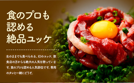 馬刺し 熊本 人気の 馬肉ユッケ たっぷり 500g 株式会社利他フーズ《30日以内に出荷予定(土日祝除く)》 ユッケ 海外産 国内肥育 冷凍 生食用 肉 馬肉 ふるさと納税馬刺し 熊本県 南阿蘇村 送料無料 馬刺 ばさし 名物