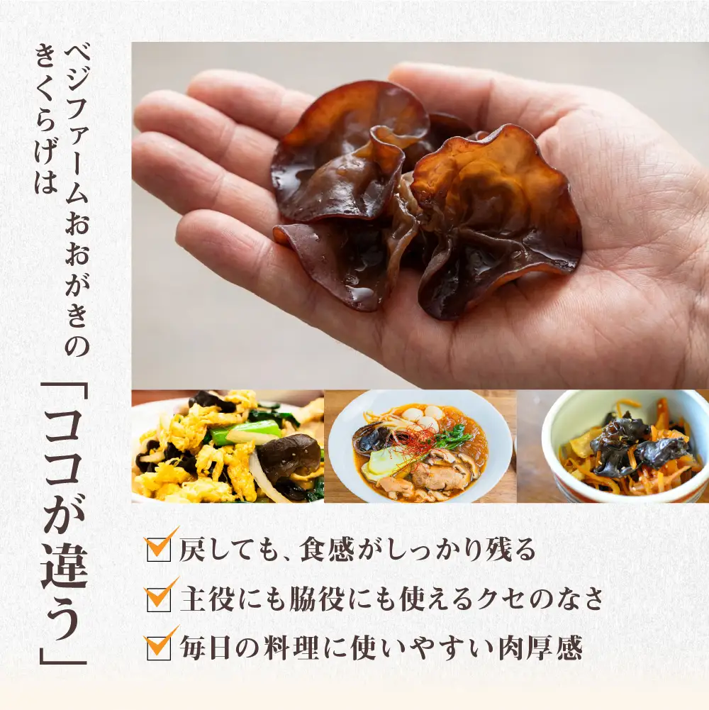 乾燥きくらげ｜きくらげ
