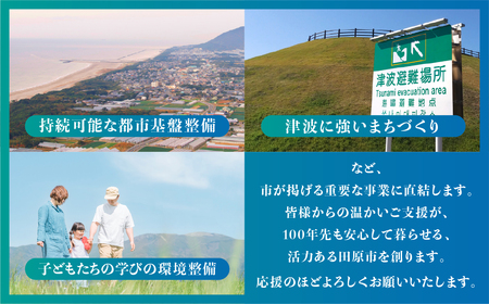 《返礼品なし》愛知県田原市への寄付 500,000円分 応援寄附金 応援 選べる 金額 使い道 愛知県 田原市 渥美半島