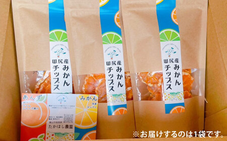 みかん 田尻産 みかんチップス 1袋 [BAGS003] みかん