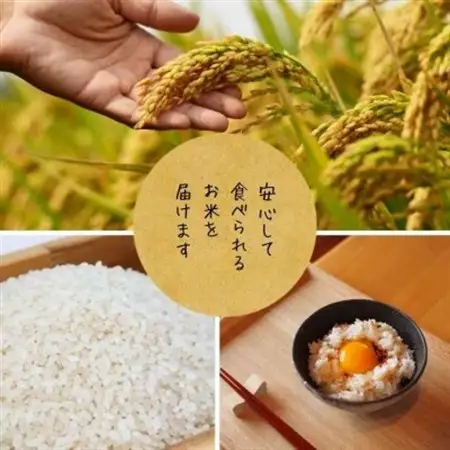 栽培期間中7年間化学農薬・化学肥料不使用　徳島県産コシヒカリ　10kg　精米【1711898】