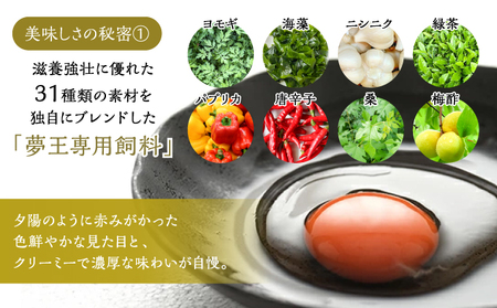 H-263　日本一に選ばれた高級卵【夢王10個　贈答箱入り】