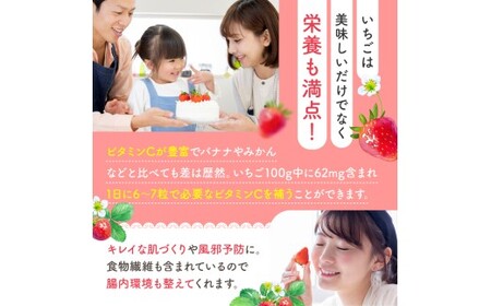 【定期便3ヶ月】【農家から届く甘酸っぱい贈り物】 紅ほっぺ　約1500g | いちご 国産 産地直送 低農薬 贈答用 熊本県 玉名市