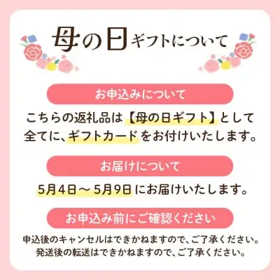 Y26-18R01 【母の日】新茶 八女星野茶 120g×2本