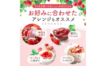 【定期便3ヶ月】【農家から届く甘酸っぱい贈り物】 紅ほっぺ　約3000g | いちご 国産 産地直送 低農薬 熊本県 玉名市