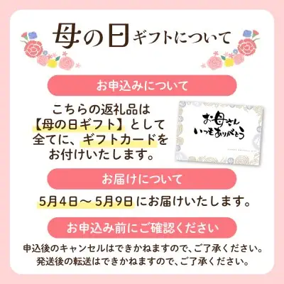 Y61-38R01 【母の日】極生ハンバーグ 9個セット(150g×9) ハンバーグ