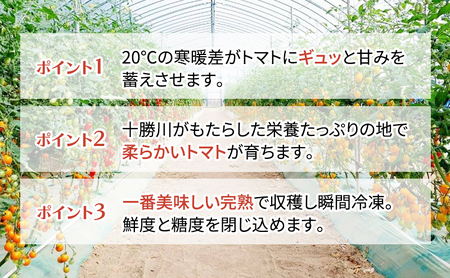 糖度平均9～10度！十勝 幕別産 ミニトマトジュース「自慢のトマトでつくりました。」黄180ml×6本［北海道ホープランド農場］食塩無添加【 トマト ミニトマト 飲料 野菜ジュース リコピン 北海道 十勝 幕別 】