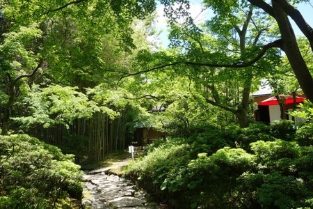 八幡市立松花堂庭園ペアチケット 庭園 美術館 利用券