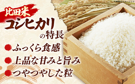 比田米 コシヒカリ(精米)5kg×3回 定期便【令和7年産 米 お米 計15kg こしひかり ごはん ご飯 国産 お弁当 美味しい 人気 おすすめ 島根県産 島根県 安来市】【45-EC-45】