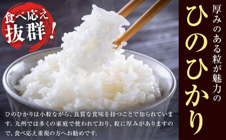 七城のお米 ヒノヒカリ 5kg 通常パッケージ 白米 精米 令和7年産 堀田農場《30日以内に出荷予定(土日祝除く)》お米 ひのひかり 熊本県 菊池市 熊本県産 九州産 送料無料