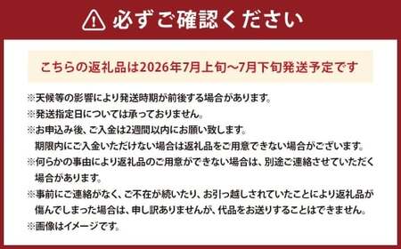 新鮮！甘い！山梨県中央市産　桃6玉～8玉（約2kg）「道の駅とよとみ」より厳選したものを出荷！ もも 桃 フルーツ 果物 山梨県 中央市 【 2026年7月上旬－7月下旬発送予定 】
