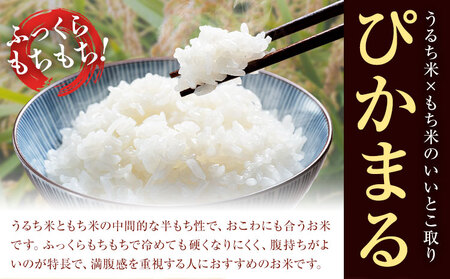 七城のお米 ぴかまる 5kg 通常パッケージ 白米 精米 令和7年産 堀田農場《30日以内に出荷予定(土日祝除く)》お米 熊本県 菊池市 熊本県産 九州産 送料無料