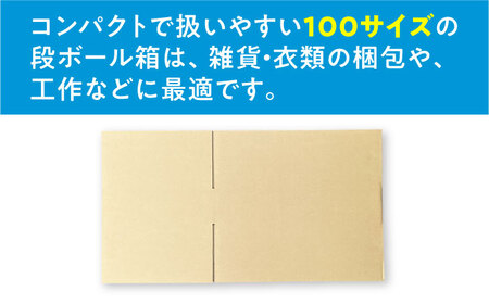 ダンボール 10枚 49×33×10cm 100サイズ【バイオドットコム】 段ボール 梱包用[MGP013]