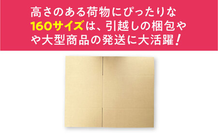ダンボール 5枚 66×48.5×42.5cm 160サイズ 【バイオドットコム】 段ボール 梱包用[MGP020]