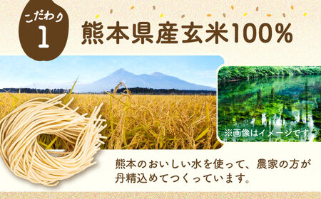 玄米パスタ スパゲッティ10袋セット / 玄米 パスタ 特産品 熊本【株式会社熊本玄米研究所】[BHAF015]