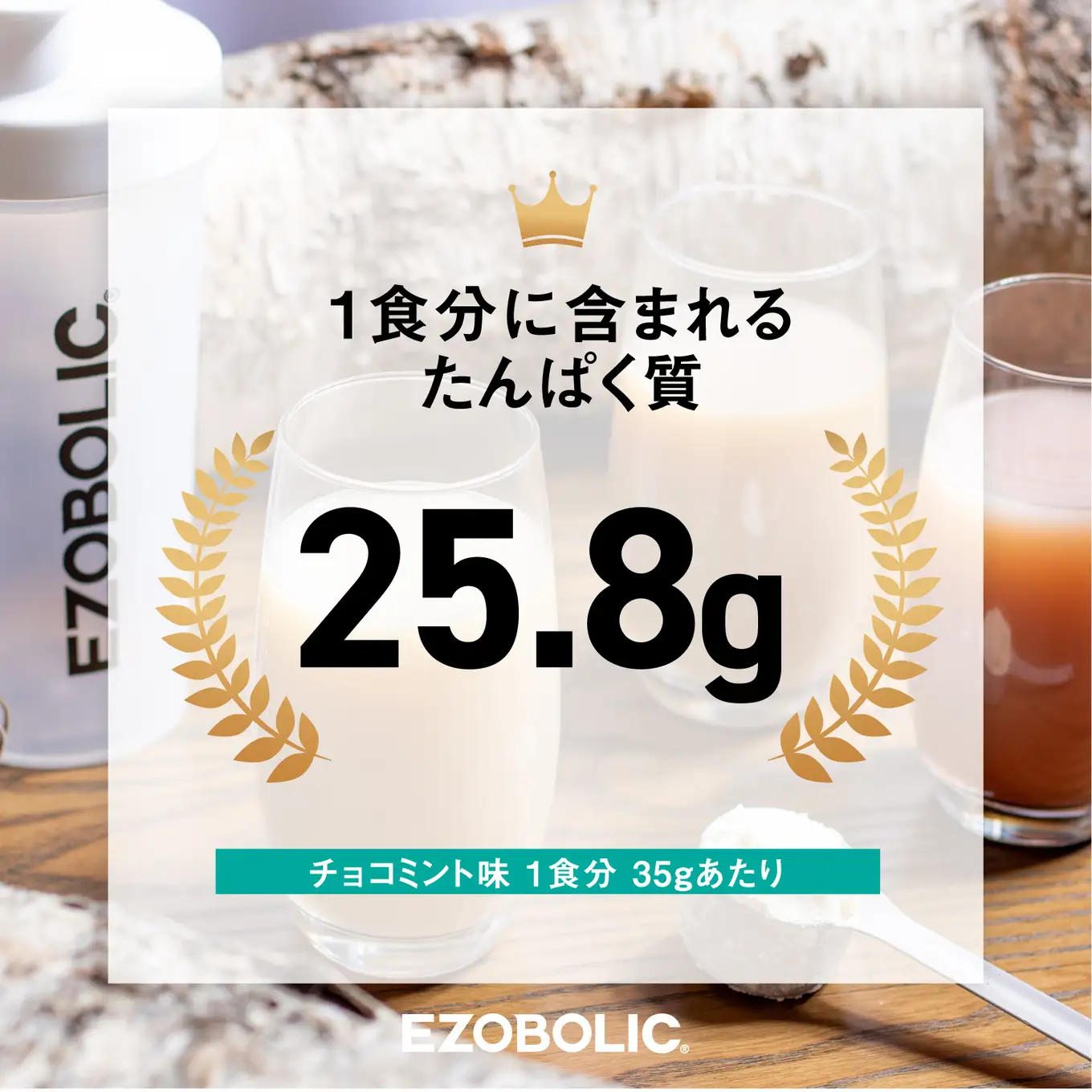 【定期便3回】チョコミント風味 EZOBOLIC プロテイン 3kg プロテイン LG