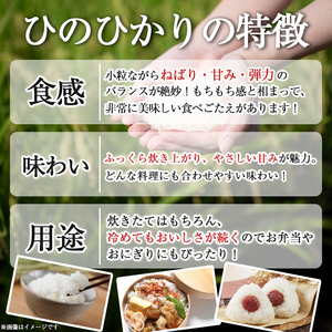 isa845 鹿児島県産ひのひかり・あきほなみ食べ比べセット(各5kg・合計10kg) 国産 鹿児島県 米 お米 白米 伊佐米 ひのひかり あきほなみ 食べ比べ セット 【赤崎農園】