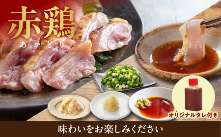 【たしろ屋】3種の鶏肉たたき食べ比べ6Pセット_AC-99-002-6P_(都城市) 都城産キジ肉 みやざき地頭鶏 国産赤鶏 鶏刺し たたき 真空パック 部位のバランスはお任せ たたきのタレ同梱 食べ比べ