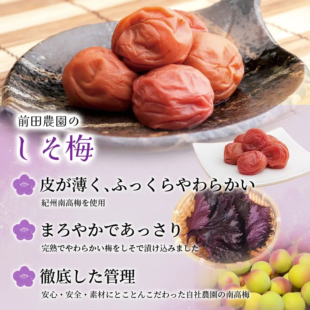  梅干し 大粒 200g 紀州南高梅しそ漬け 200g 塩分10％ 【mae007】