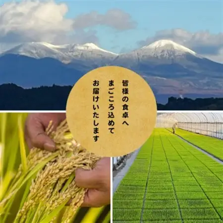 【先行予約受付】令和8年　青森県産はれわたり　玄米10kg　彩北米【配送不可地域：離島・沖縄県】【1714458】