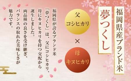 《令和7年産》 福岡県産 夢つくし 無洗米 10kg （5kg × 2袋） こめ コメ ごはん ご飯 コシヒカリ キヌヒカリ 白米 令和7年度米 単一原料米 ブランド米 福岡県 うきは市 常温